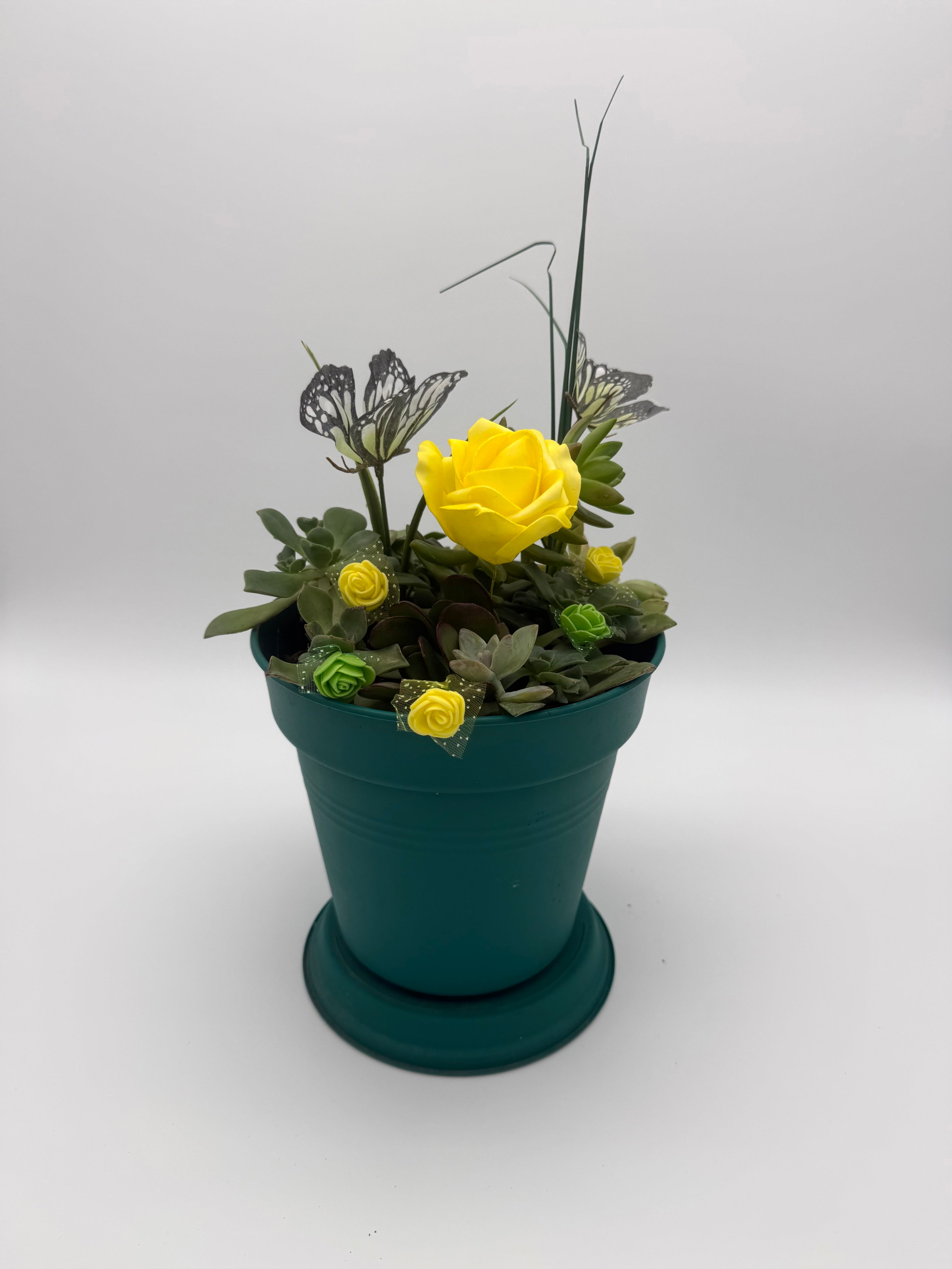 Encouragement & Support Succulent Arrangement