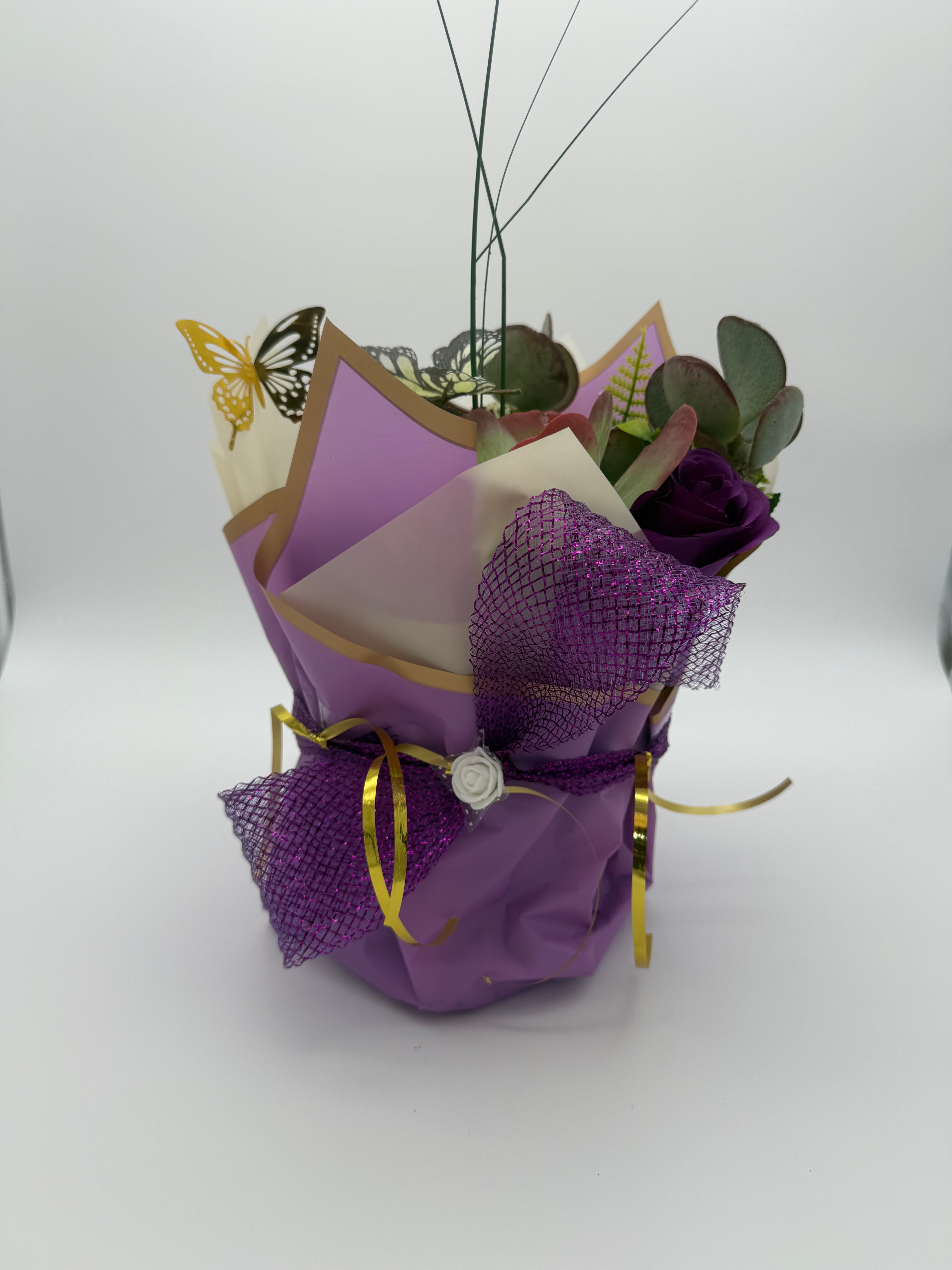 Encouragement & Support Succulent Arrangement